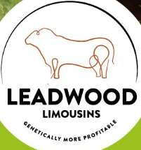 LeadWood Limousins