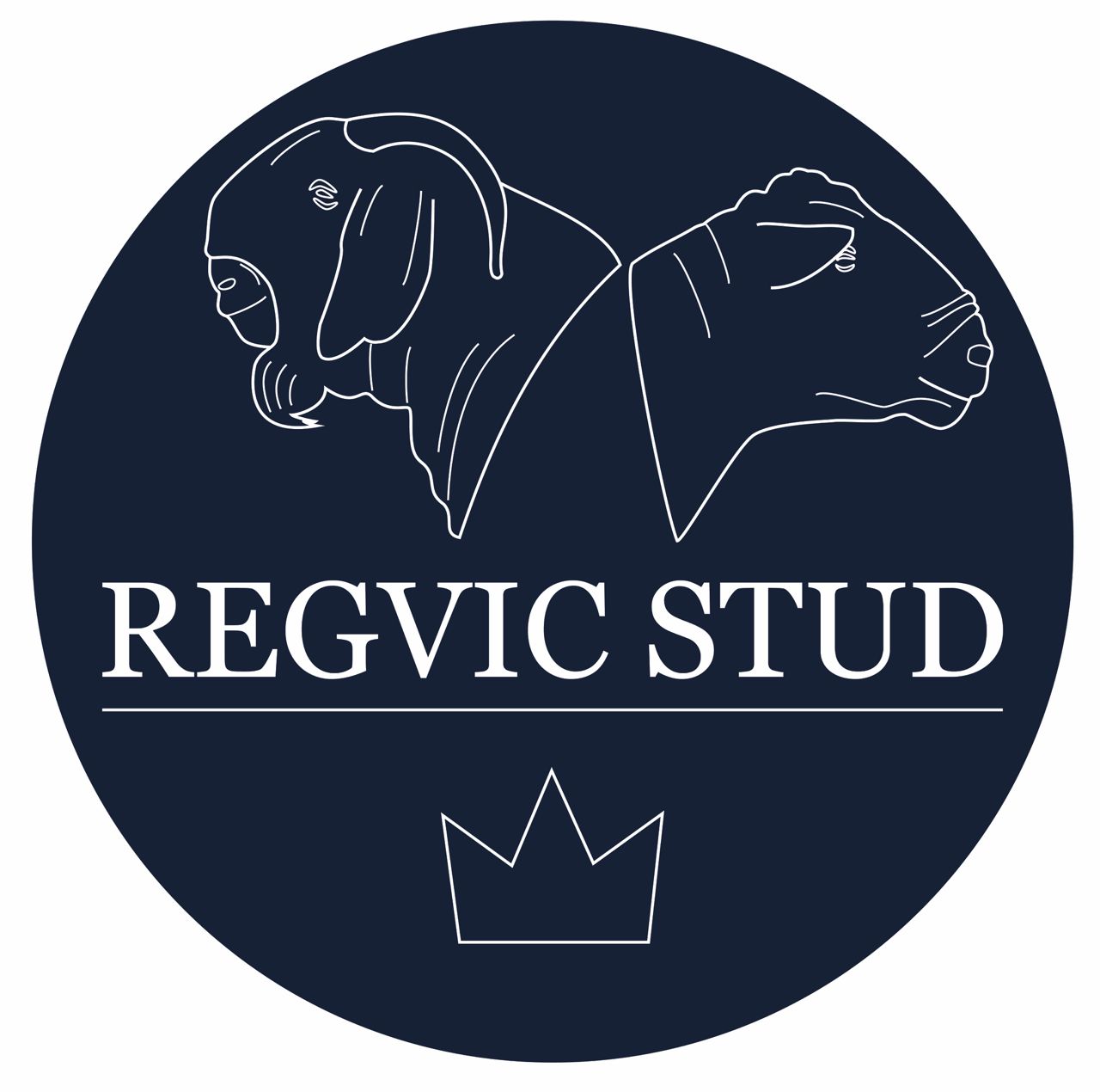RegVic Stud