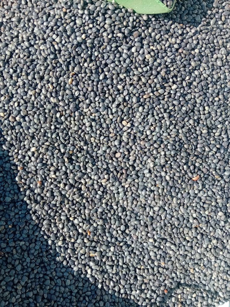 Tswana Beans