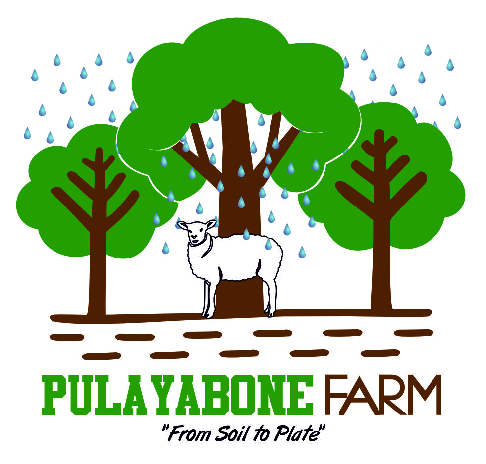 Pulayabone Farm