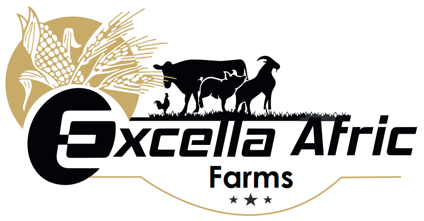 Excella Afric Investment