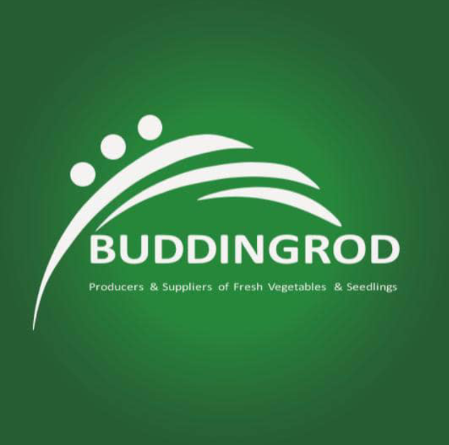 Budding Rod Services Pty Ltd
