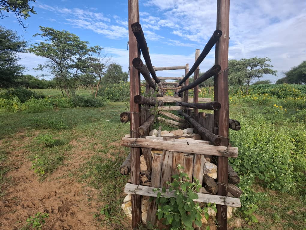 Farm|Borehole