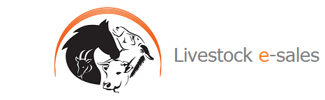 Mpatise Logo