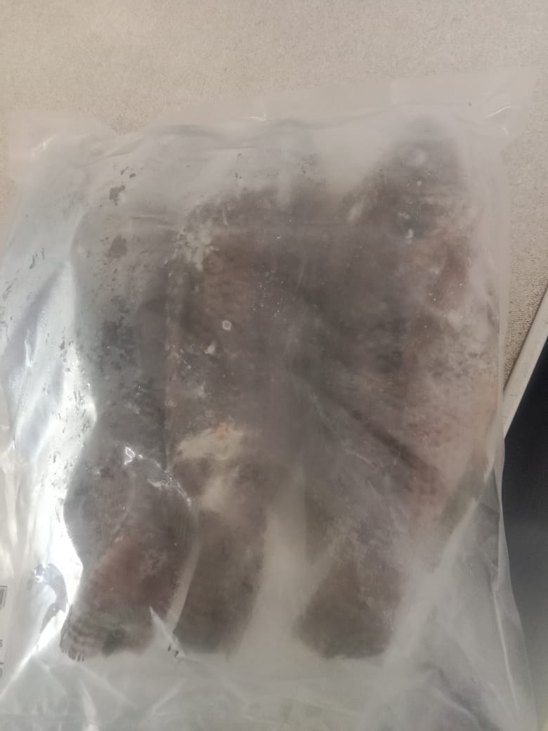 Fish