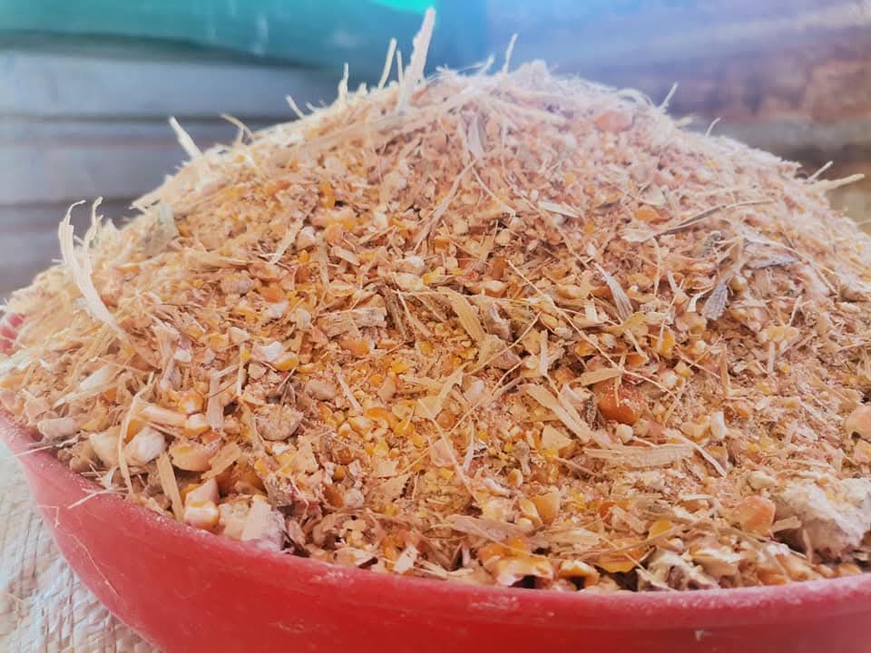 Crashed-Maize