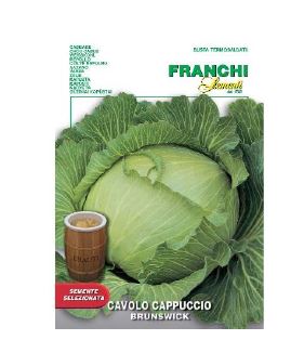 CABBAGE BRUNSWICK