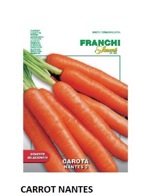 CARROT NANTES