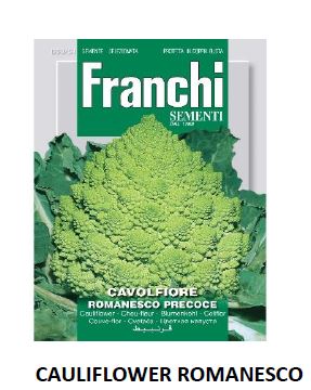 CAULIFLOWER ROMANESCO