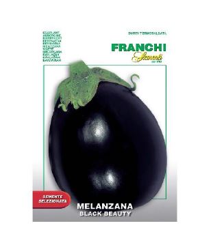 Egg Plant