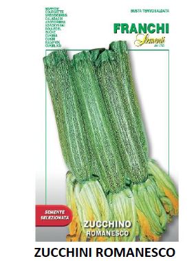 ZUCCHINI ROMANESCO